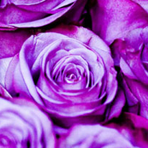 点燃创新引擎的平台在线ddos压力测试